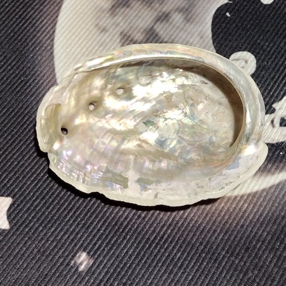 Small Abalone Seashell w/Smudge - Picture 2 of 5